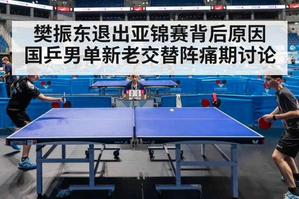 樊振东退出亚锦赛背后原因 国乒男单新老交替阵痛期讨论