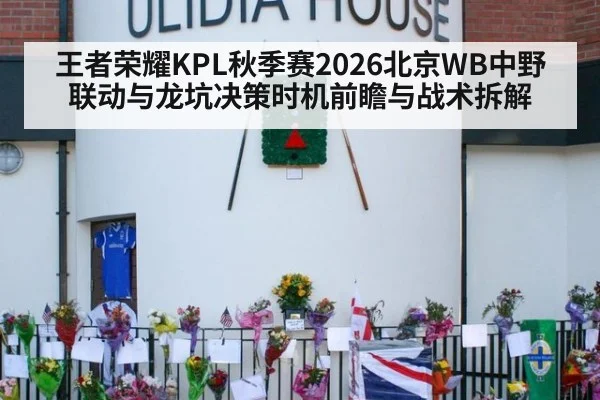 王者荣耀KPL秋季赛2026北京WB中野联动与龙坑决策时机前瞻与战术拆解